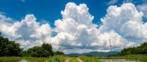 投稿についてもっと詳しく お盆に思うこと