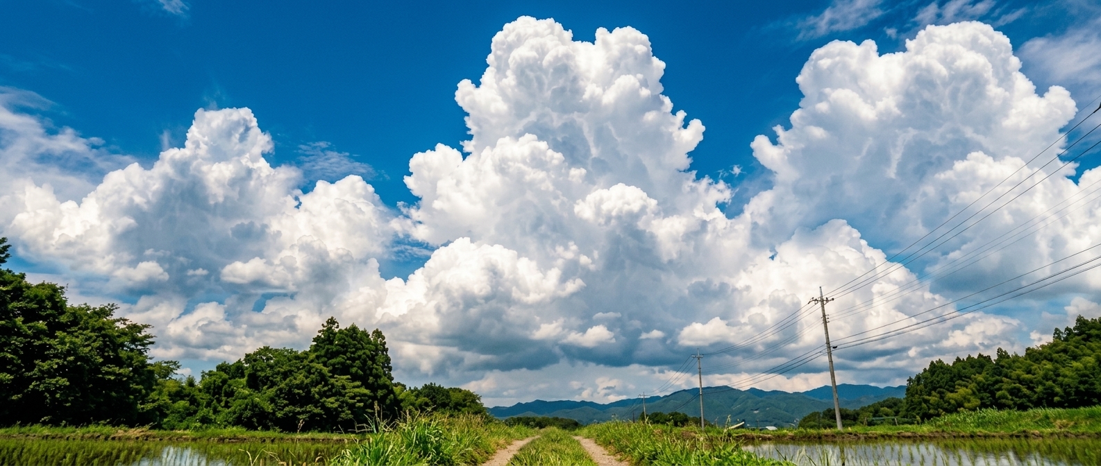 あなたが現在見ているのは お盆に思うこと